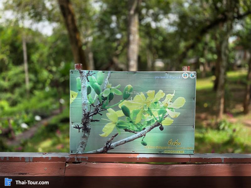 อุทยานแห่งชาติภูผาเหล็ก