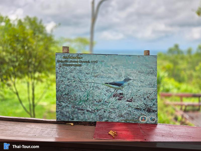 อุทยานแห่งชาติภูผาเหล็ก