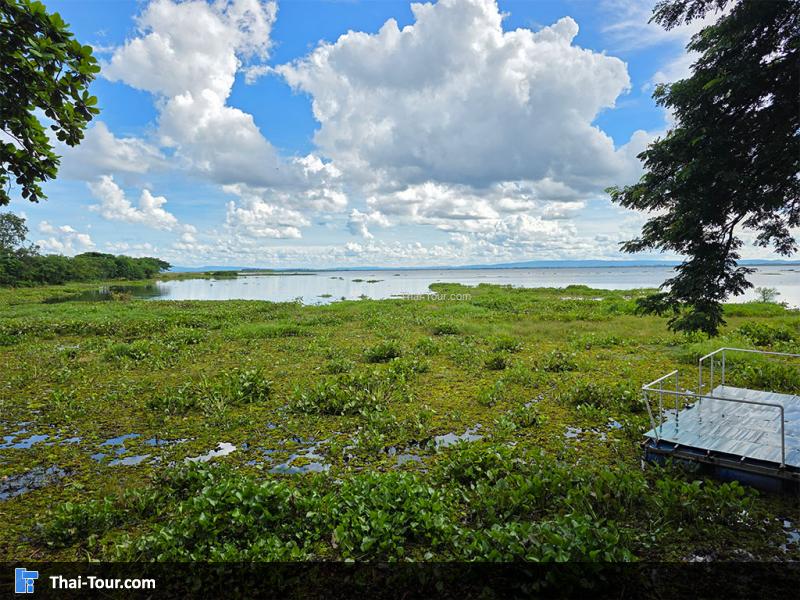 บรรยากาศรอบของอุทยานบัว