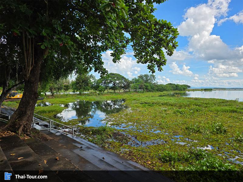บรรยากาศรอบของอุทยานบัว