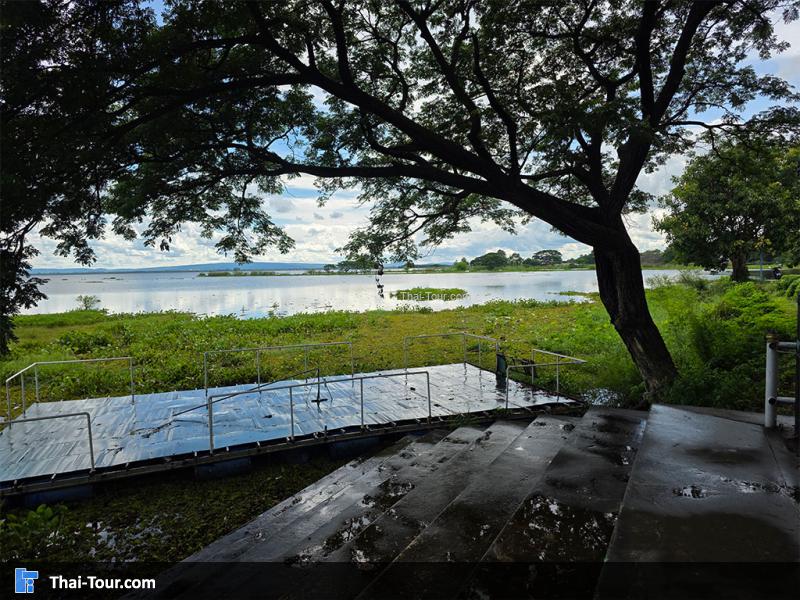 บรรยากาศรอบของอุทยานบัว