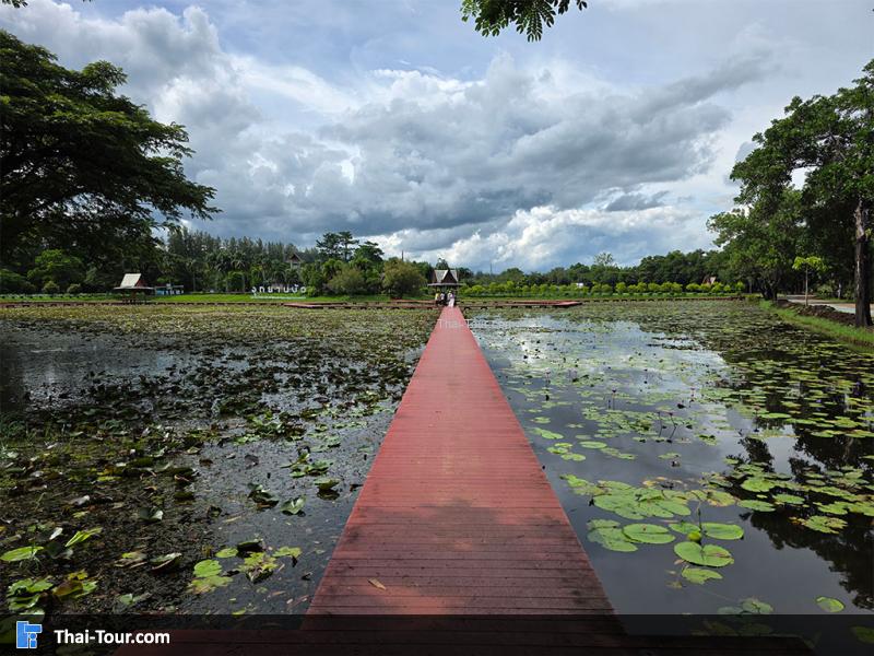 บรรยากาศรอบของอุทยานบัว