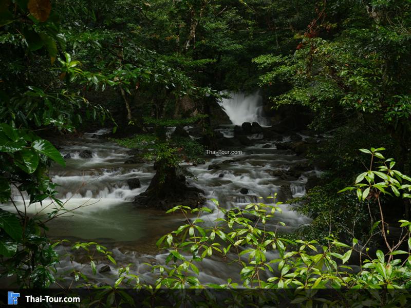 บรรยากาศน้ำตกเต่าทอง