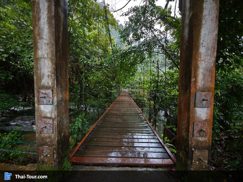 บรรยากาศน้ำตกเต่าทอง