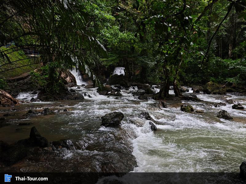 บรรยากาศน้ำตกเต่าทอง