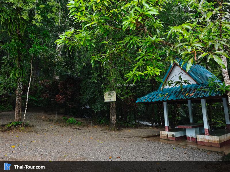 บรรยากาศน้ำตกเต่าทอง