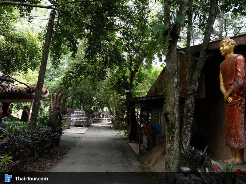 บรรยากาศของ วัดถ้ำตาปาน