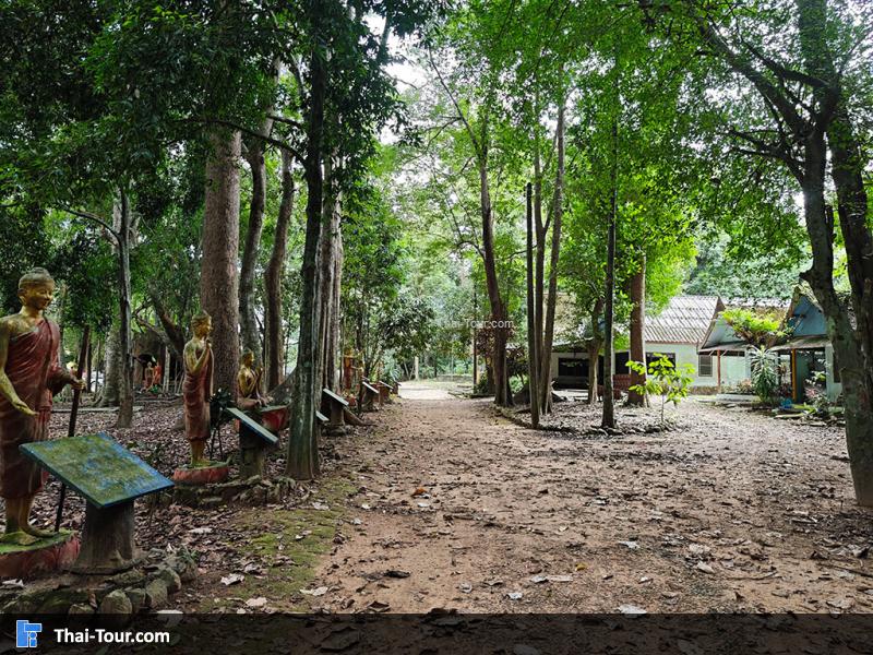 บรรยากาศของ วัดถ้ำตาปาน