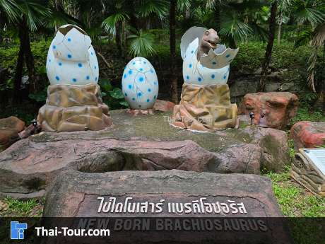 พิพิธภัณฑ์หอยหิน 150 ล้านปีและไดโนเสาร์โนนทัน