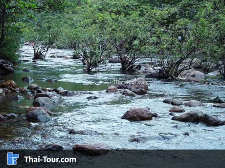 วังตะไคร้