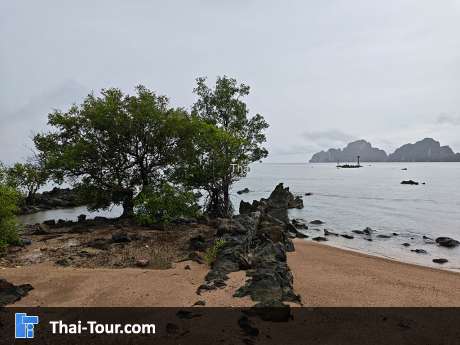 ปลายแหลมสัก