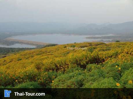 เหมืองลิกไนต์