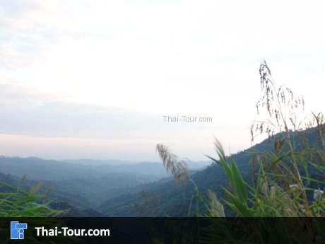 สักหง่า