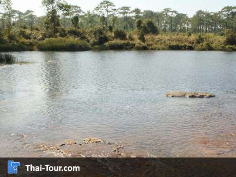 สระอโนดาด