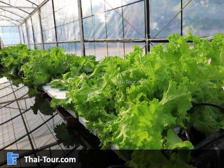 โครงการหลวงจิตรลดา นครสวรรค์