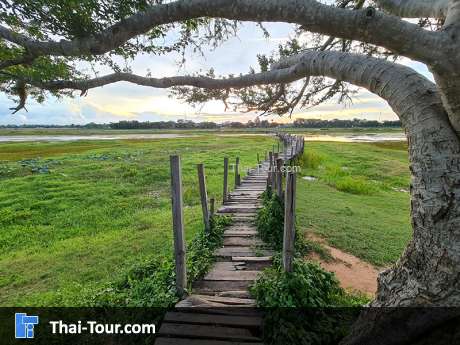 สะพานไม้แกดำ