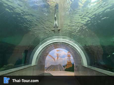 ศูนย์วิทยาศาสตร์เพื่อการศึกษานครพนม