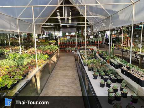 แอร์ออร์คิดส์ แลบ