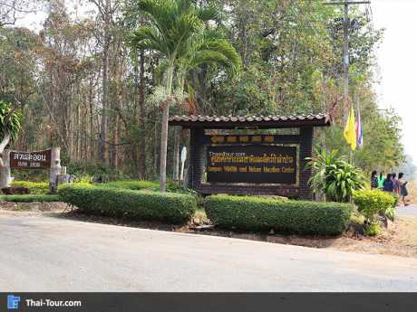 สถานีศึกษาธรรมชาติ และ สัตว์ป่าลำปาว (สวนสะออน)