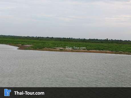 บึงบอระเพ็ด