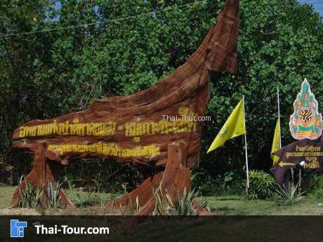 หาดขนอม-หมู่เกาะทะเลใต้