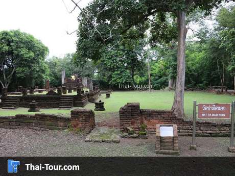 วัดป่ามืดนอก