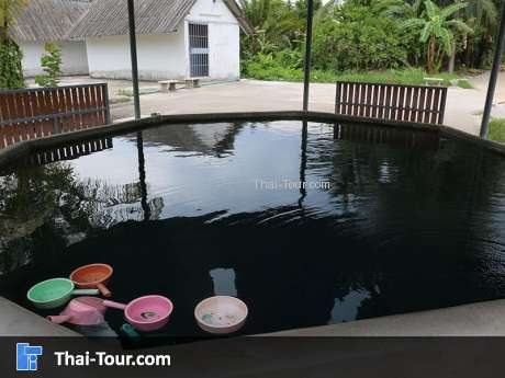 บ่อน้ำร้อนพรุลุมพี