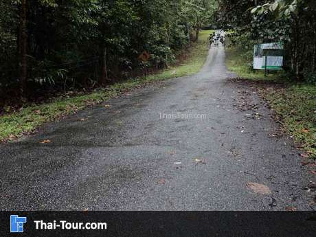 เนินพิศวง สุคิริน