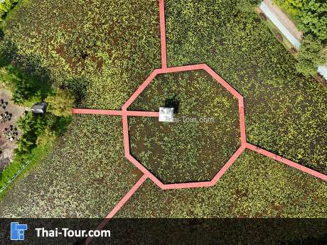 อุทยานบัว