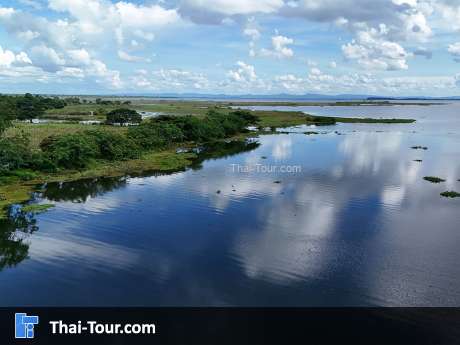 หนองหาร