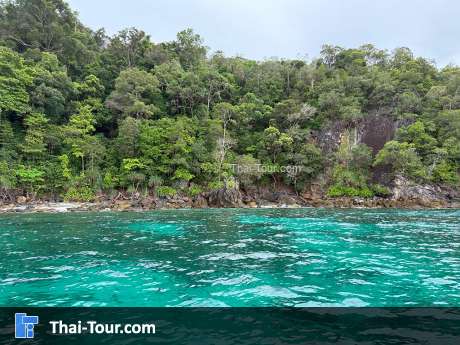 เกาะยาง