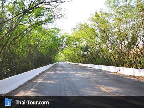 อุโมงค์ต้นไม้ สระบุรี