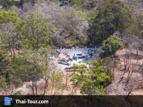 ลานดอกเสี้ยว