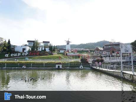 ร้านกาแฟ A Cup of Love