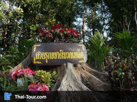 สวนรุกขชาติมวกเหล็ก