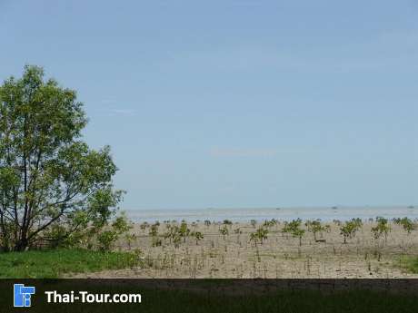 หาดสระบัว