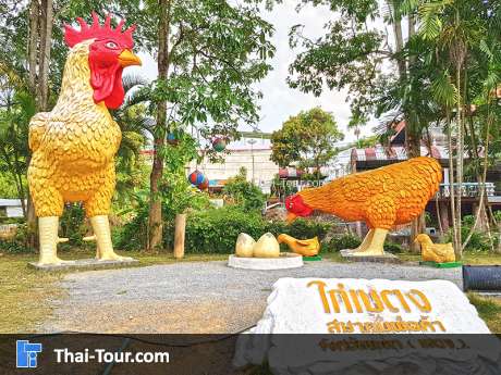 ไก่เบตง