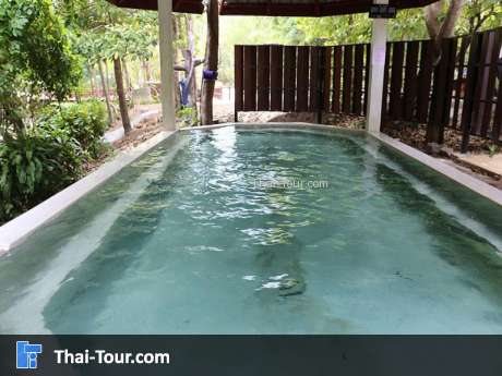 น้ำพุร้อนพรรั้ง