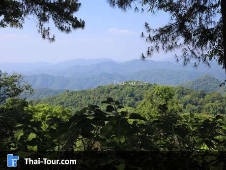 กิ่วฝิ่น