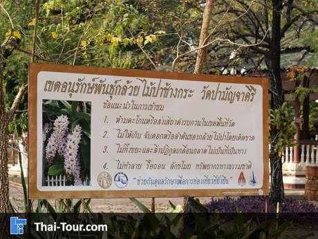 วัดป่ามัจจาคีรี