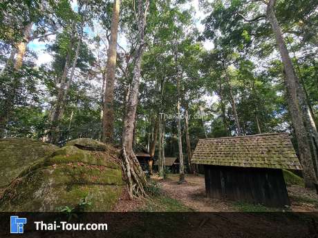 โรงเรียนการเมืองการทหาร