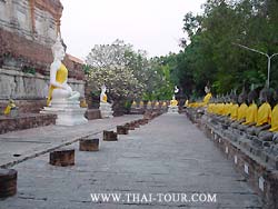 บรรยากาศรอบๆ เจดีย์ (ทิศใต้)