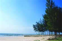 Casuarina Resort - Puktien