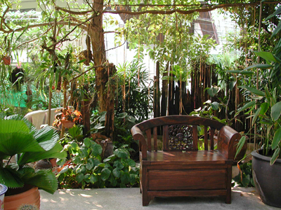 Amenities Garden and Flowers, Nern Chalet, Hua Hin