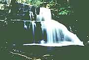 waterfall_pangsida.jpg (3512 bytes)