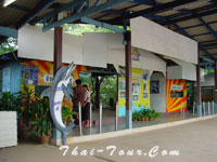 โอเอซิส ซี เวิลด์