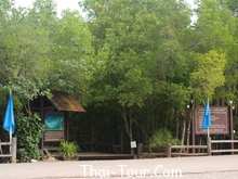 เส้นทางศึกษาธรรมชาติป่าชายเลนอ่าวคุ้งกระเบน