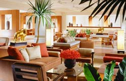 Amari Orchid Resort Pattaya : Lobby
