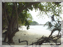 อ่าวหวาย