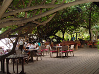 Ao Prao Resort Restaurant - ร้านอาหารอ่าวพร้าวรีสอร์ท